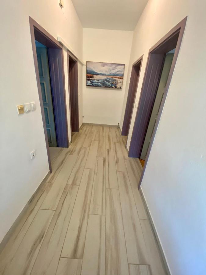 Apartments Stojanovic Vir Exterior photo